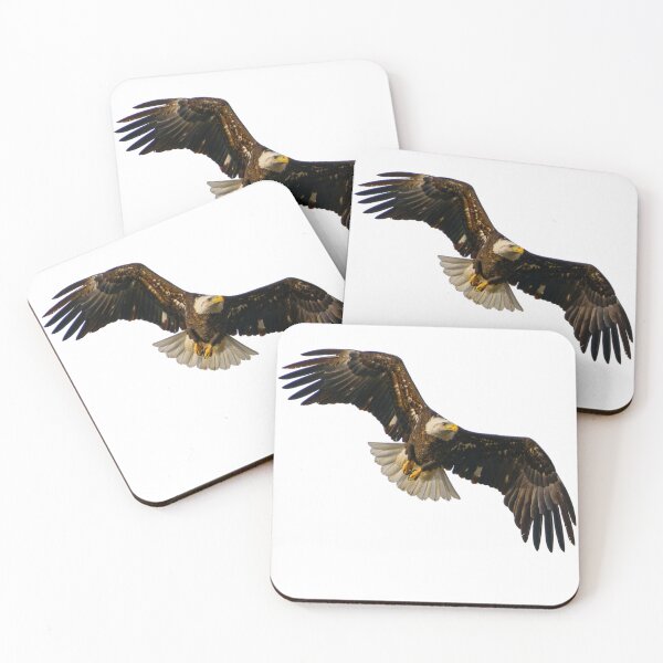 Item preview, Bald Eagle on the Hunt designed and sold by South 500 Photography.