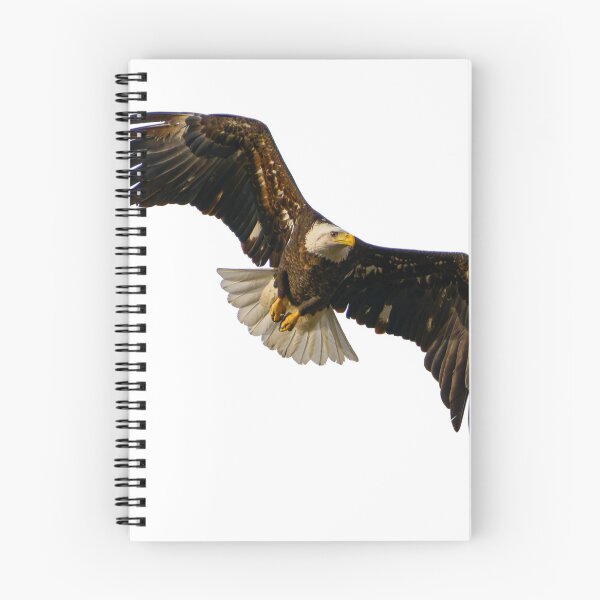 Item preview, Bald Eagle on the Hunt designed and sold by South 500 Photography.