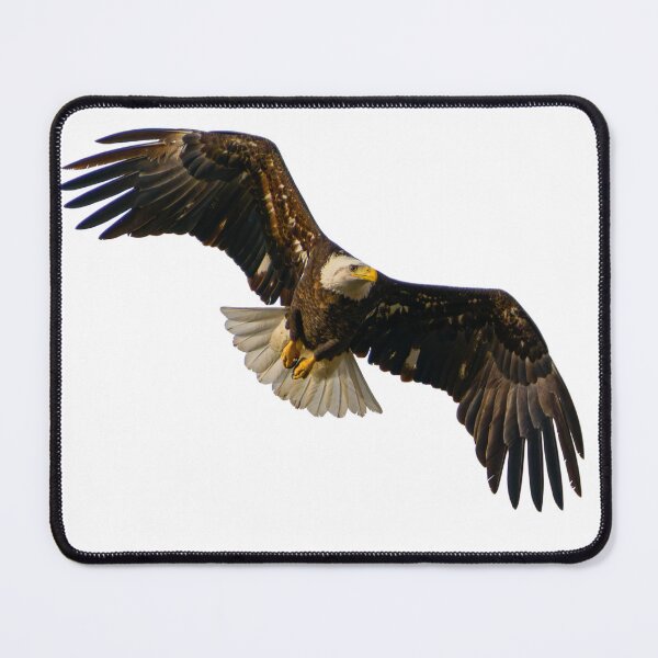 Item preview, Bald Eagle on the Hunt designed and sold by South 500 Photography.
