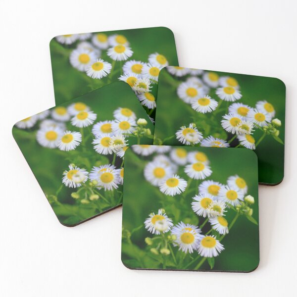Item preview, Bouquet of small white chamomiles designed and sold by olena2552.