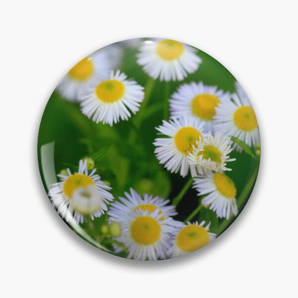 Item preview, Bouquet of small white chamomiles designed and sold by olena2552.