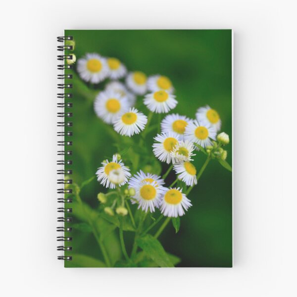 Item preview, Bouquet of small white chamomiles designed and sold by olena2552.