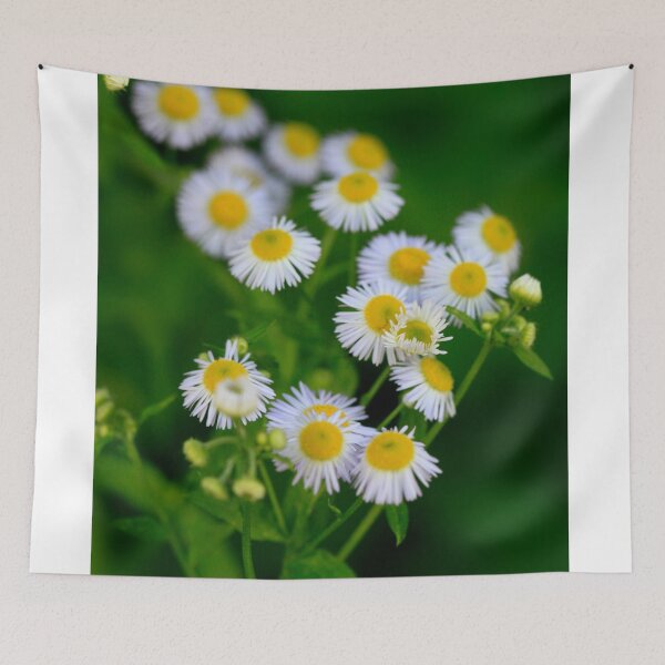 Item preview, Bouquet of small white chamomiles designed and sold by olena2552.