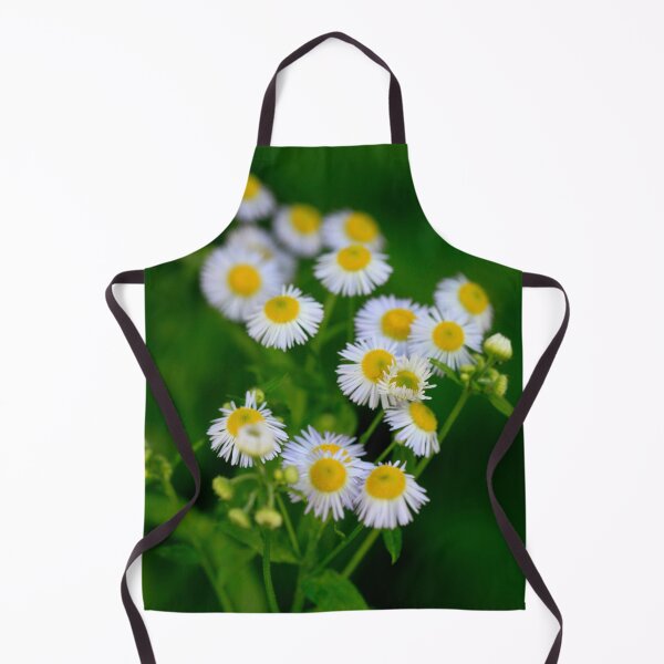 Item preview, Bouquet of small white chamomiles designed and sold by olena2552.