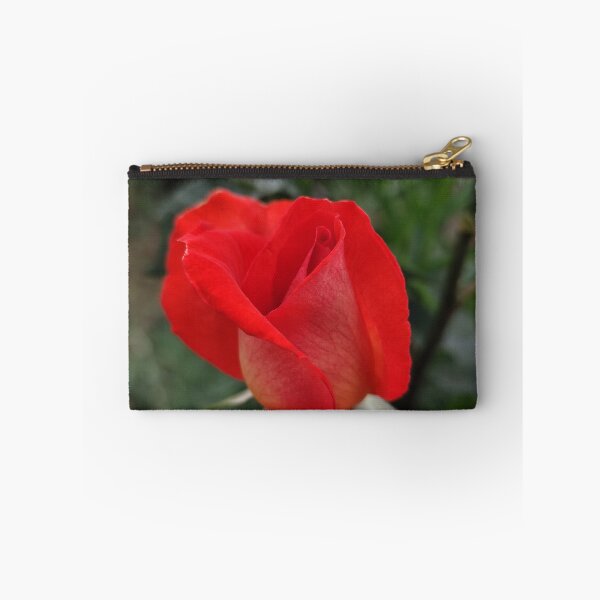 Item preview, Vivid Red Orange Pink Rose Rosa Blooming Outside designed and sold by vtspatial.