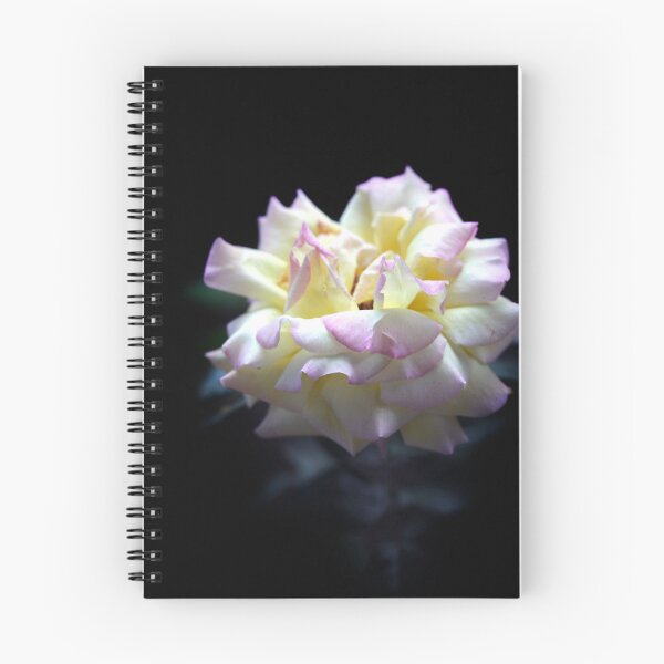 Item preview, White rose on black background designed and sold by olena2552.