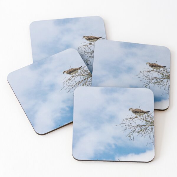Item preview, Osprey at Lake Apopka designed and sold by jrtwynam.