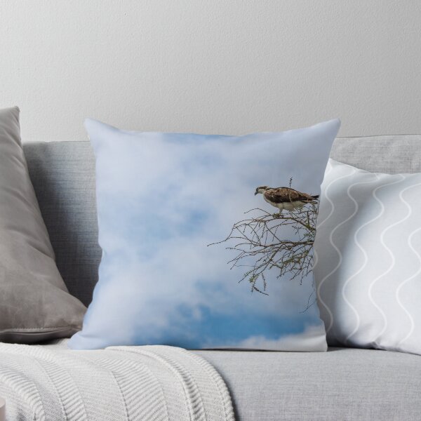 Item preview, Osprey at Lake Apopka designed and sold by jrtwynam.