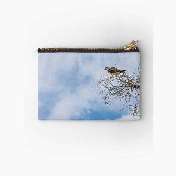 Item preview, Osprey at Lake Apopka designed and sold by jrtwynam.