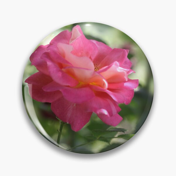 Item preview, Pink rose in summer garden designed and sold by olena2552.