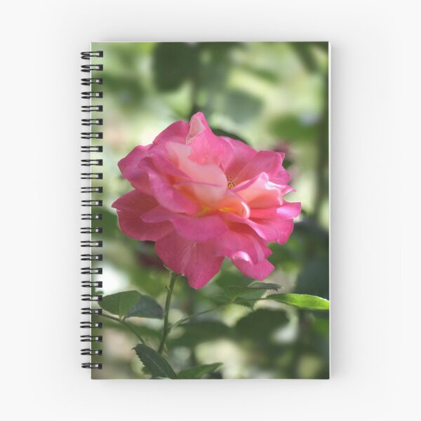 Item preview, Pink rose in summer garden designed and sold by olena2552.