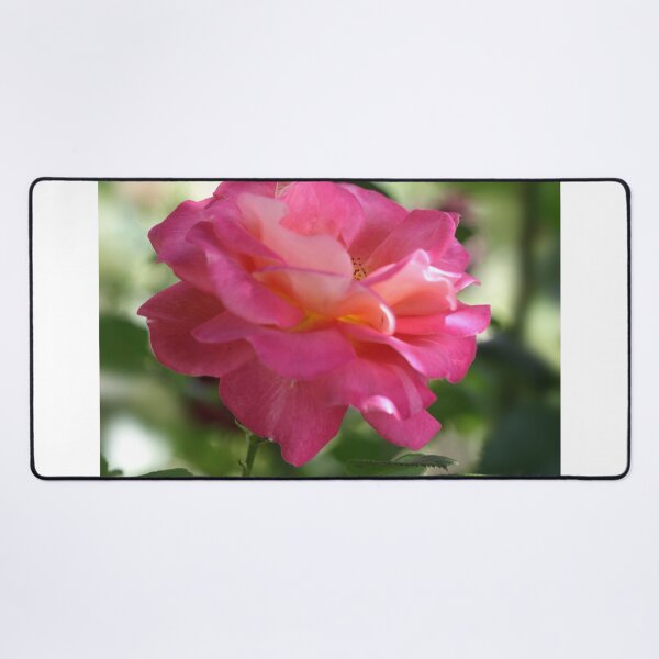 Item preview, Pink rose in summer garden designed and sold by olena2552.