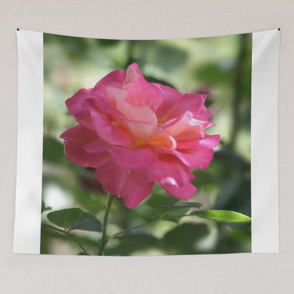 Item preview, Pink rose in summer garden designed and sold by olena2552.