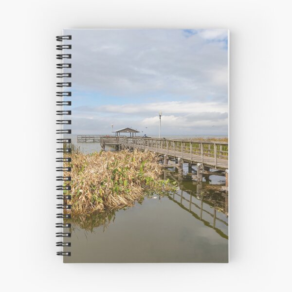 Item preview, Lake Apopka Tranquil Shores 2 designed and sold by jrtwynam.
