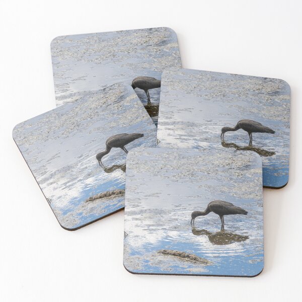 Item preview, Ibis in Celebration Florida Waters 1 designed and sold by jrtwynam.