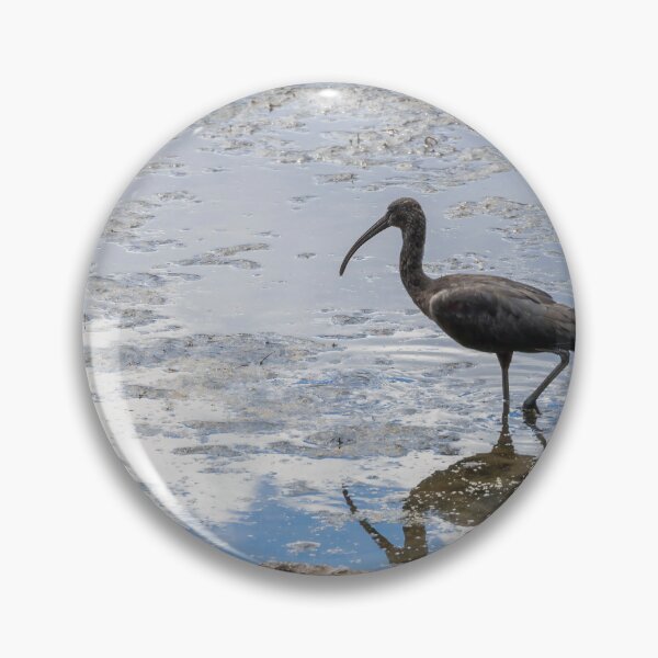 Item preview, Ibis in Celebration Florida Waters 2 designed and sold by jrtwynam.