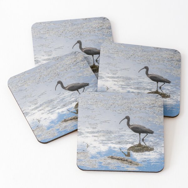 Item preview, Ibis in Celebration Florida Waters 2 designed and sold by jrtwynam.