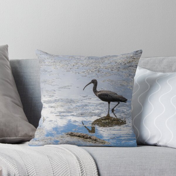 Item preview, Ibis in Celebration Florida Waters 2 designed and sold by jrtwynam.
