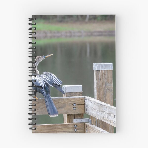 Item preview, Serene Bird by Celebration Lake designed and sold by jrtwynam.