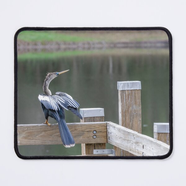 Item preview, Serene Bird by Celebration Lake designed and sold by jrtwynam.