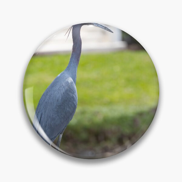 Item preview, Heron in Celebration, Florida designed and sold by jrtwynam.