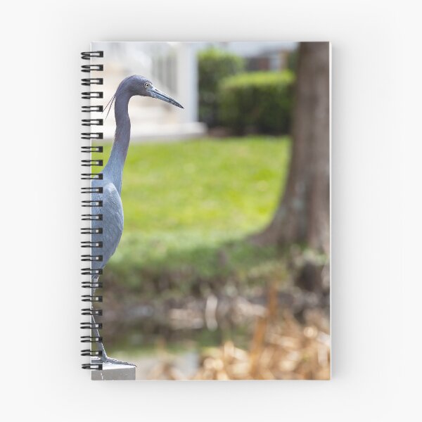 Item preview, Heron in Celebration, Florida designed and sold by jrtwynam.