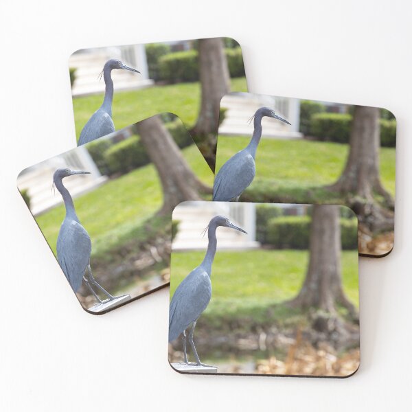 Item preview, Heron in Celebration, Florida designed and sold by jrtwynam.