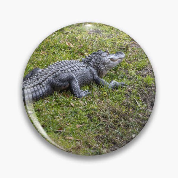 Item preview, Alligator in Celebration, Florida designed and sold by jrtwynam.