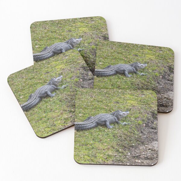 Item preview, Alligator in Celebration, Florida designed and sold by jrtwynam.