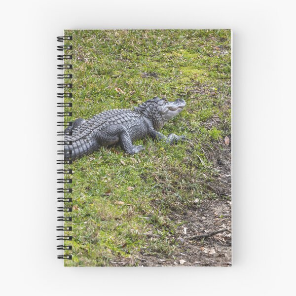 Item preview, Alligator in Celebration, Florida designed and sold by jrtwynam.