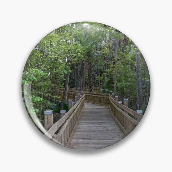 Item preview, Scenic Boardwalk in Celebration designed and sold by jrtwynam.
