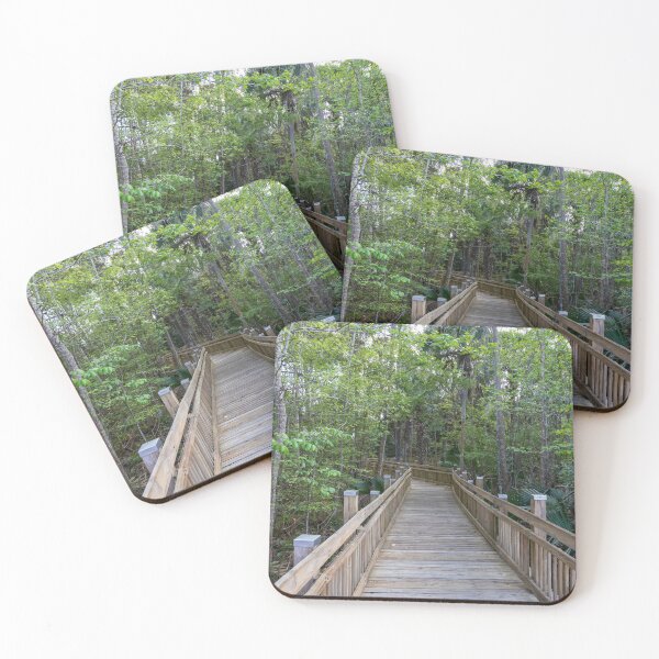 Item preview, Scenic Boardwalk in Celebration designed and sold by jrtwynam.