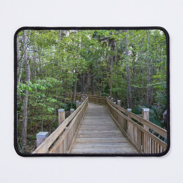 Item preview, Scenic Boardwalk in Celebration designed and sold by jrtwynam.