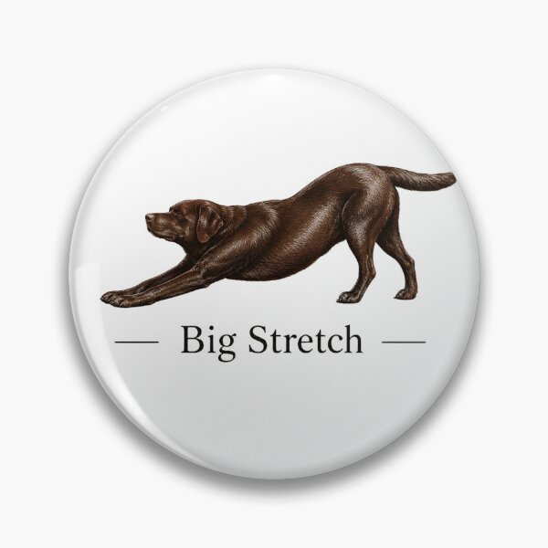 Item preview, Big Stretch Chocolate Labrador Retriever designed and sold by VGAfanatic.