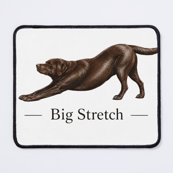 Item preview, Big Stretch Chocolate Labrador Retriever designed and sold by VGAfanatic.