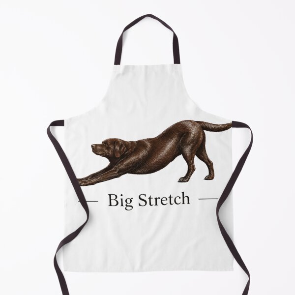 Item preview, Big Stretch Chocolate Labrador Retriever designed and sold by VGAfanatic.