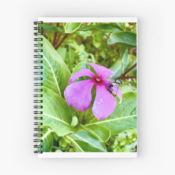 Item preview, Quiet Bloom - Purple Flower with Bee - Nature’s Visitor Macro. designed and sold by QuietBloomDHS.