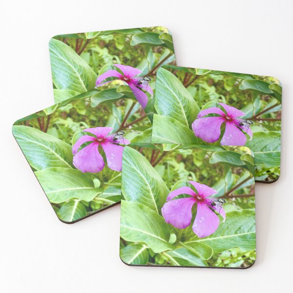 Item preview, Quiet Bloom - Purple Flower with Bee - Nature’s Visitor Macro. designed and sold by QuietBloomDHS.