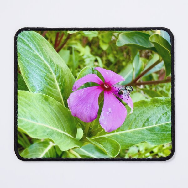 Item preview, Quiet Bloom - Purple Flower with Bee - Nature’s Visitor Macro. designed and sold by QuietBloomDHS.