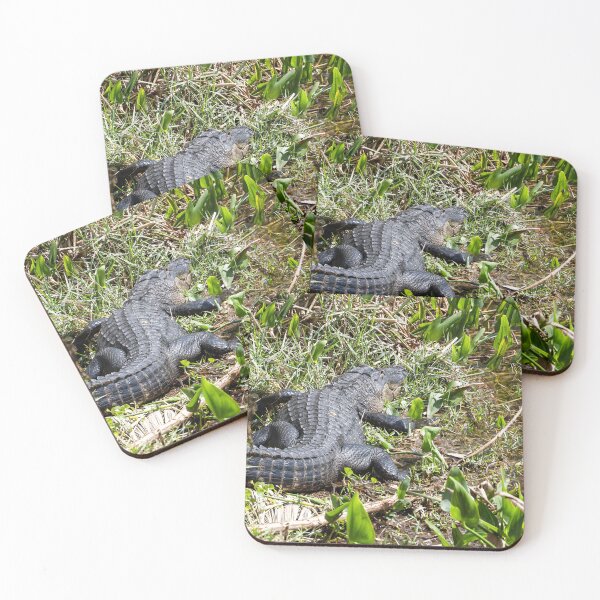Item preview, Alligator Basking by Water in Mount Dora, Florida designed and sold by jrtwynam.