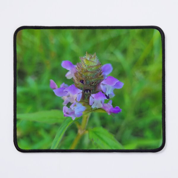Item preview, Midwest Wildflower designed and sold by Lunar Bound Imagery .