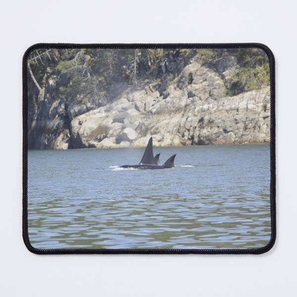 Item preview, Killer whales designed and sold by Sometimes-store.