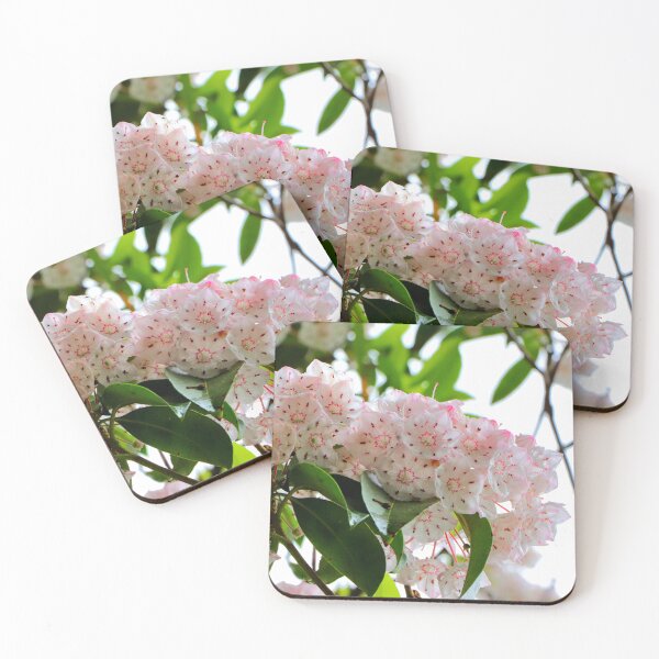 Item preview, White flowers  designed and sold by Parks and X.