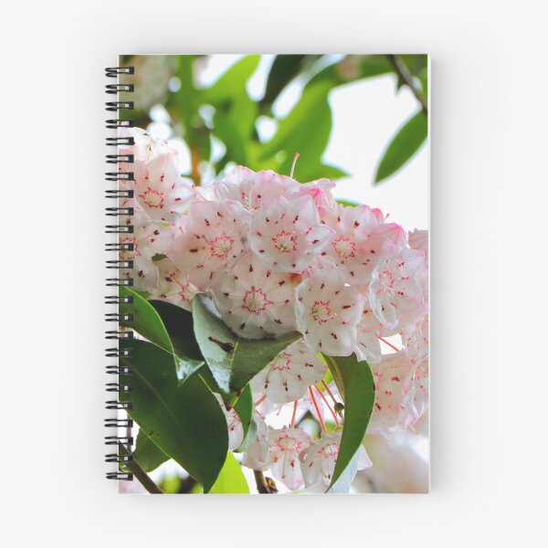 Item preview, White flowers  designed and sold by Parks and X.
