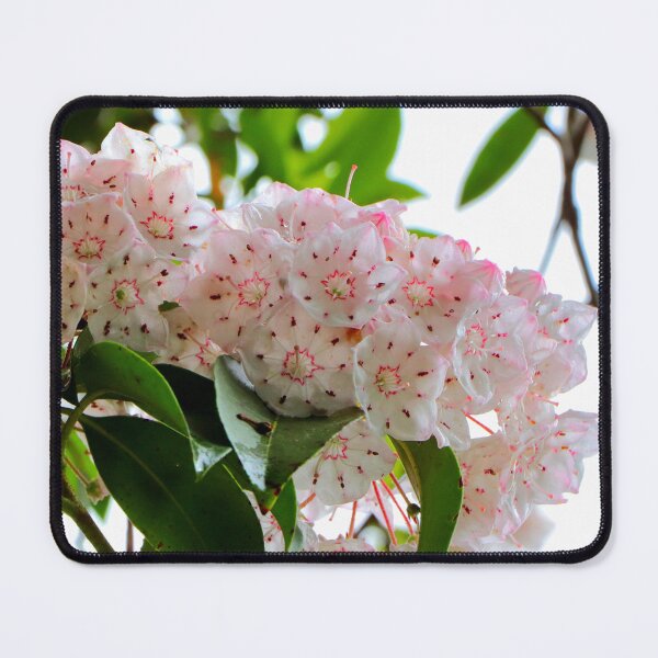 Item preview, White flowers designed and sold by Parks and X.