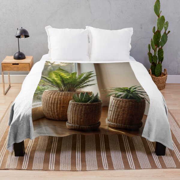 Item preview, Interior - Plant Composition, Afro-Bohemian Aesthetic designed and sold by Reverso-Design.