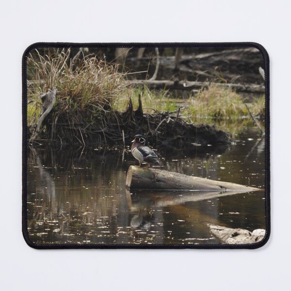 Item preview, Wood Duck Standing designed and sold by Sometimes-store.