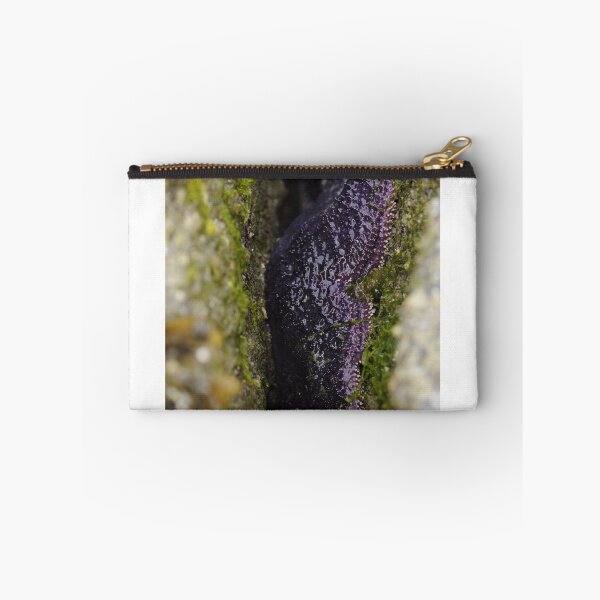 Item preview, Purple Ochre Sea Star designed and sold by Sometimes-store.