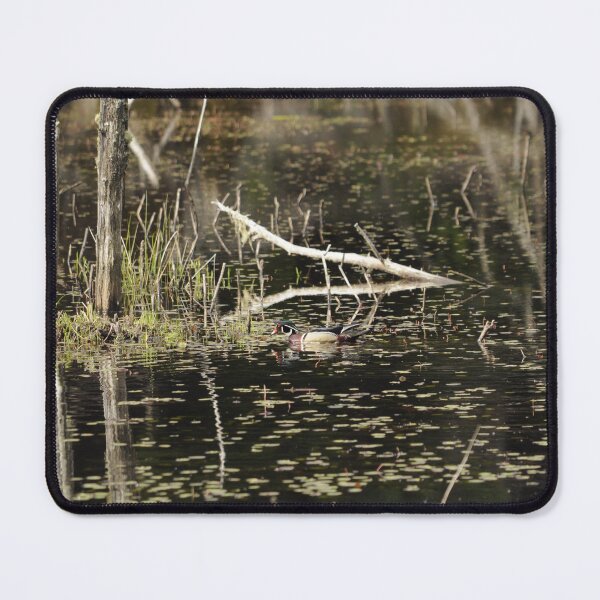 Item preview, Wood Duck swimming designed and sold by Sometimes-store.
