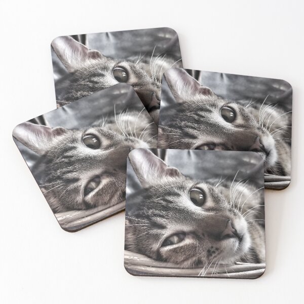 Item preview, Cat relax designed and sold by AlphaCentauros.